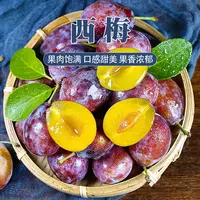 【坏果包赔】新疆法兰西西梅中大果净重4斤