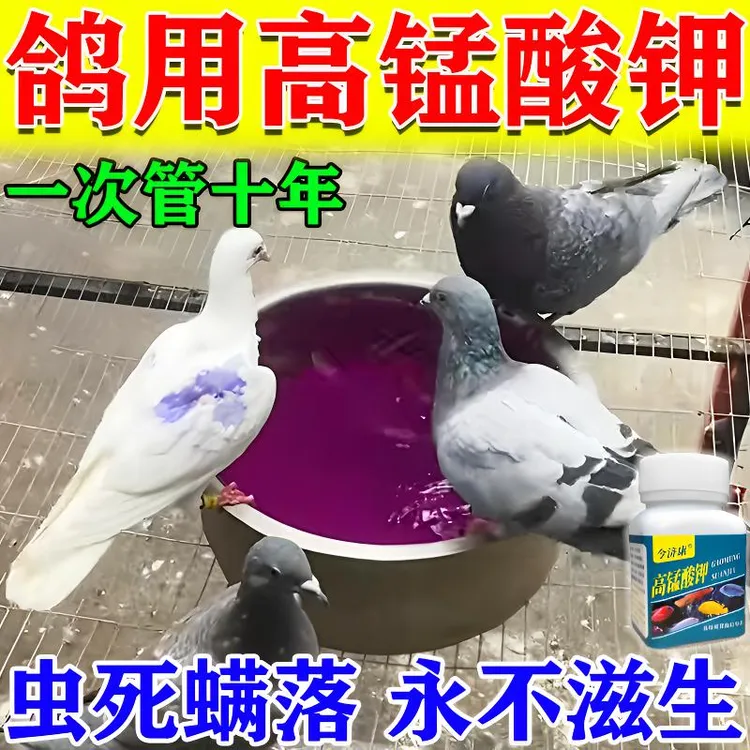 鸽子洗澡用高锰酸钾杀菌消毒液鸽子除体外寄生虫羽虱螨虫专用浴盐
