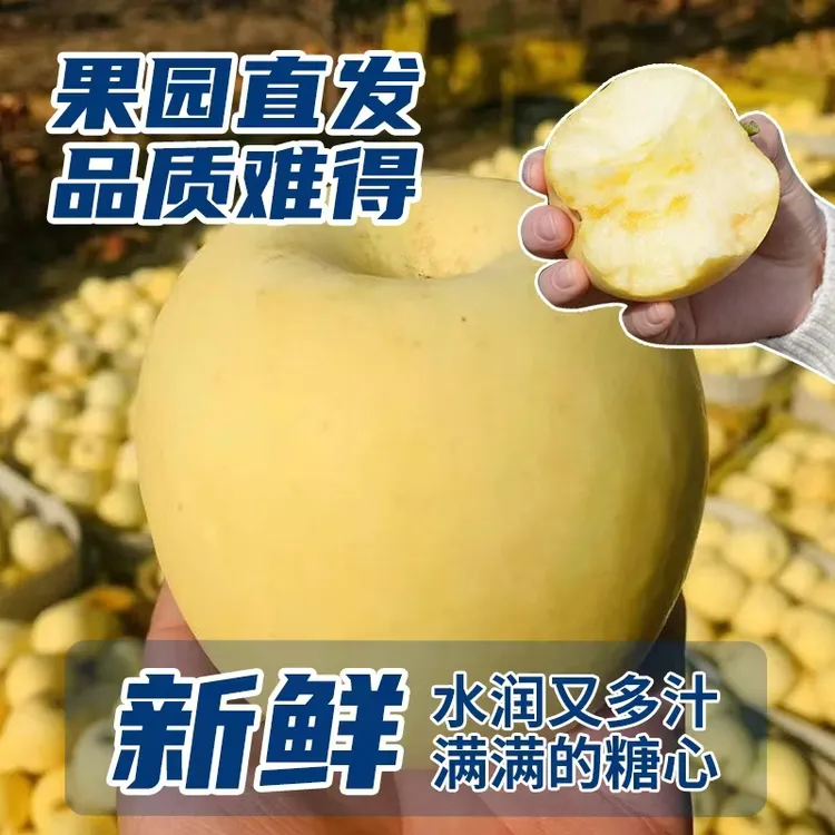 [奶油蜂王浆]正宗烟台黄金奶油富士苹果冰糖心新鲜脆甜多汁