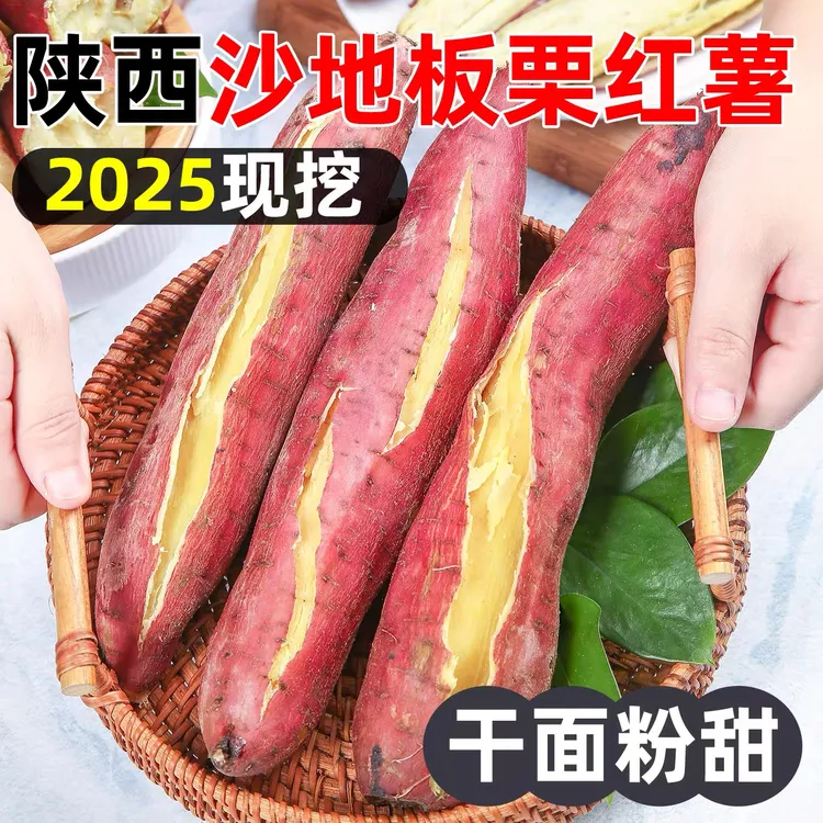 现挖沙地板栗红薯新鲜农家自种小香薯干粉面甜皮薄无丝