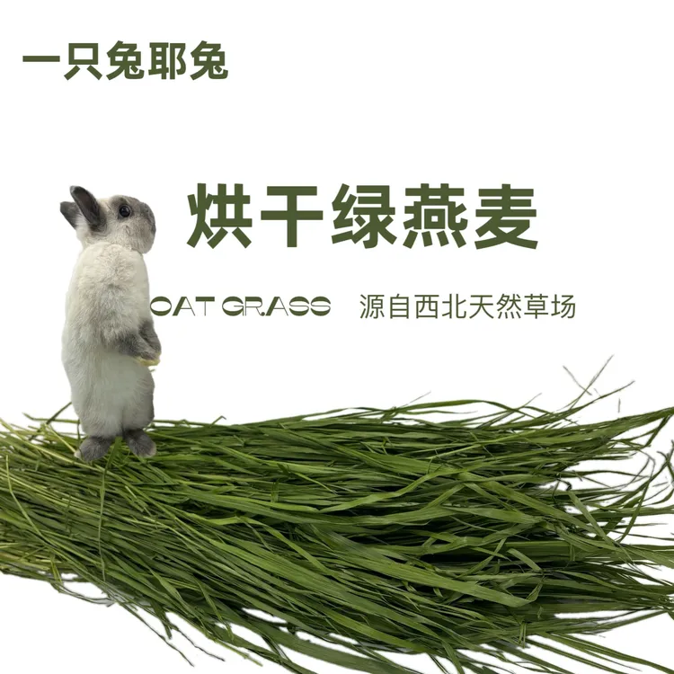 25年烘干燕麦草新草磨牙精品兔子龙猫豚鼠荷兰猪干草粗纤维草饲料