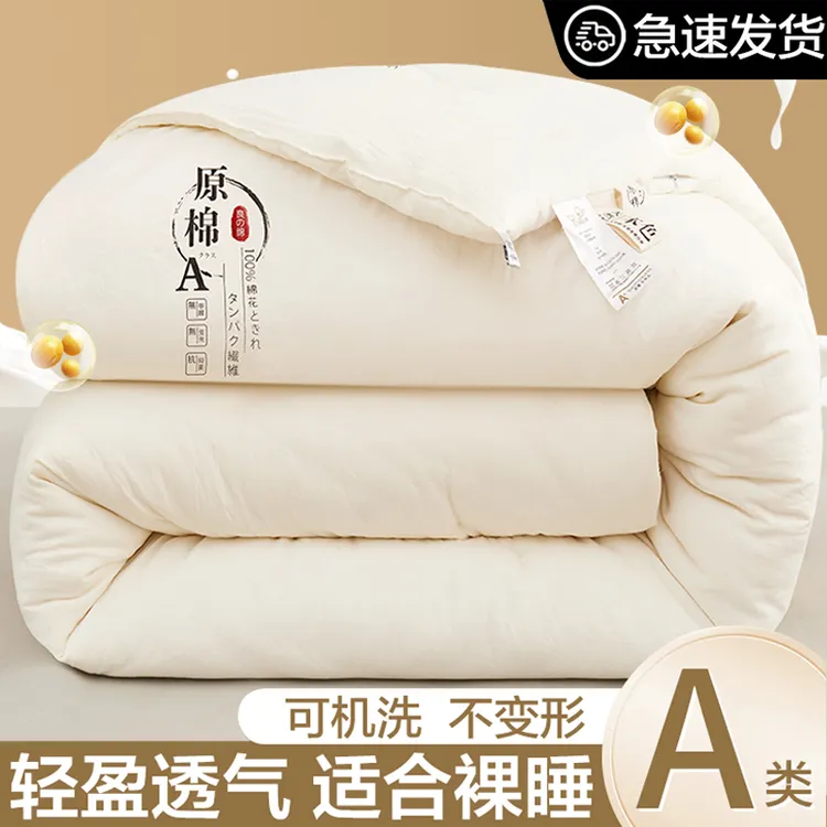 大豆纤维被子冬被秋冬款家用床上用品春秋被冬季学生宿舍单人被芯