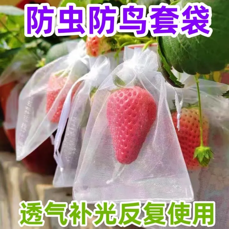 草莓套袋水果网套袋防虫鸟专用保护袋草莓网罩无花果葡萄番茄专用