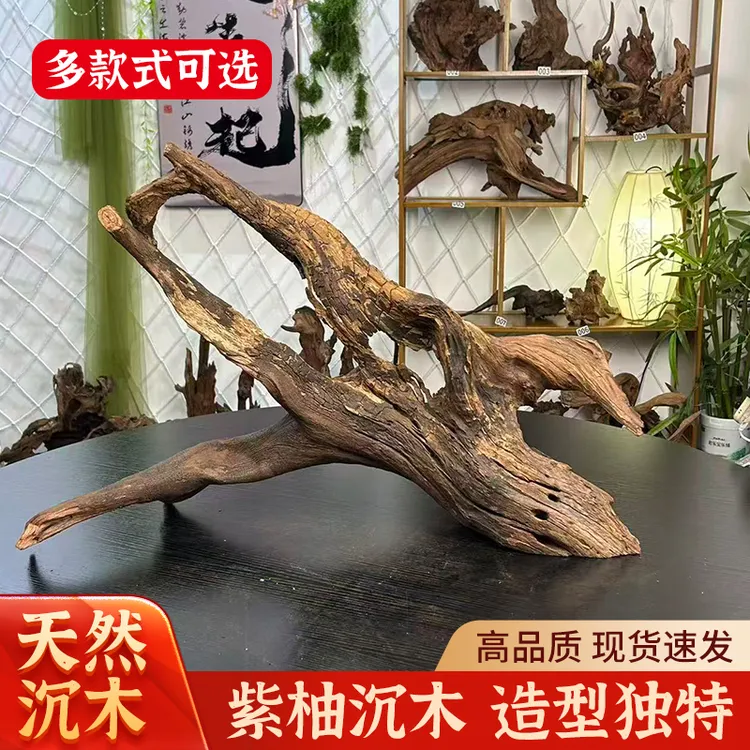 紫柚绿皮刺水族沉木鱼缸造景摆件会黄水部份需水泡可用于鱼缸造景