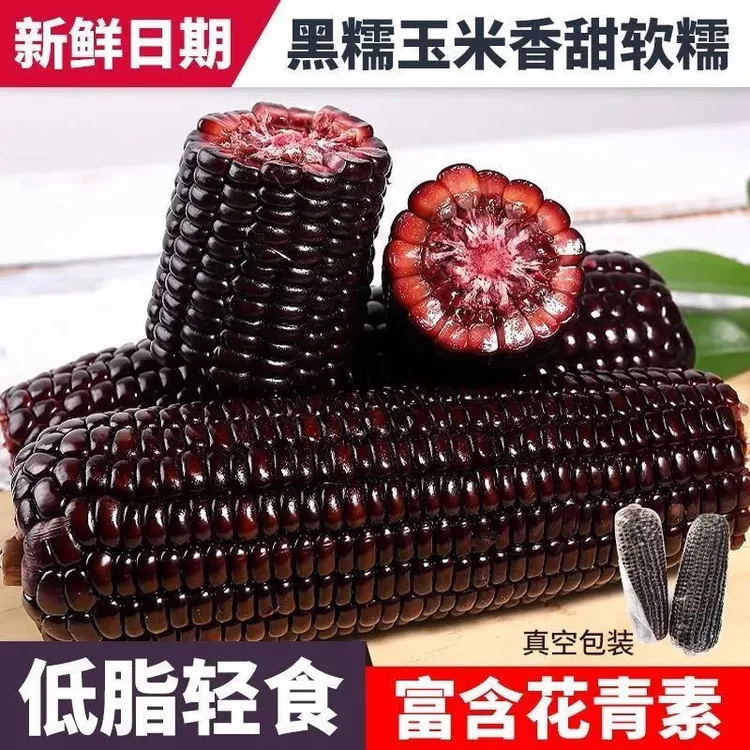 东北黑糯玉米新鲜黑糯米非转基因植物即食甜糯低脂减脂整箱团购