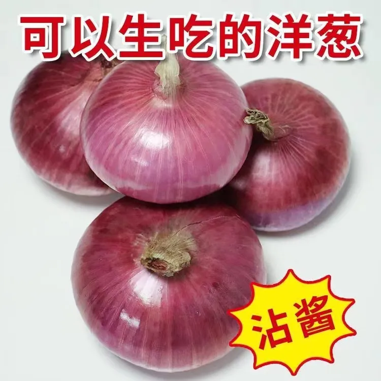 2025现挖新鲜红洋葱鲜嫩多汁水果扁洋葱可生吃