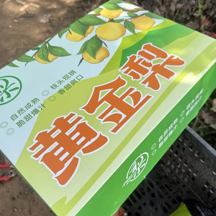 正宗方城博望黄金梨10斤超大果精品礼盒自然成熟脆甜爆汁新鲜采摘