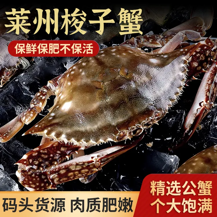 正宗莱州单只5两大公蟹【保鲜不保活】直播梭子蟹标价为每斤价格
