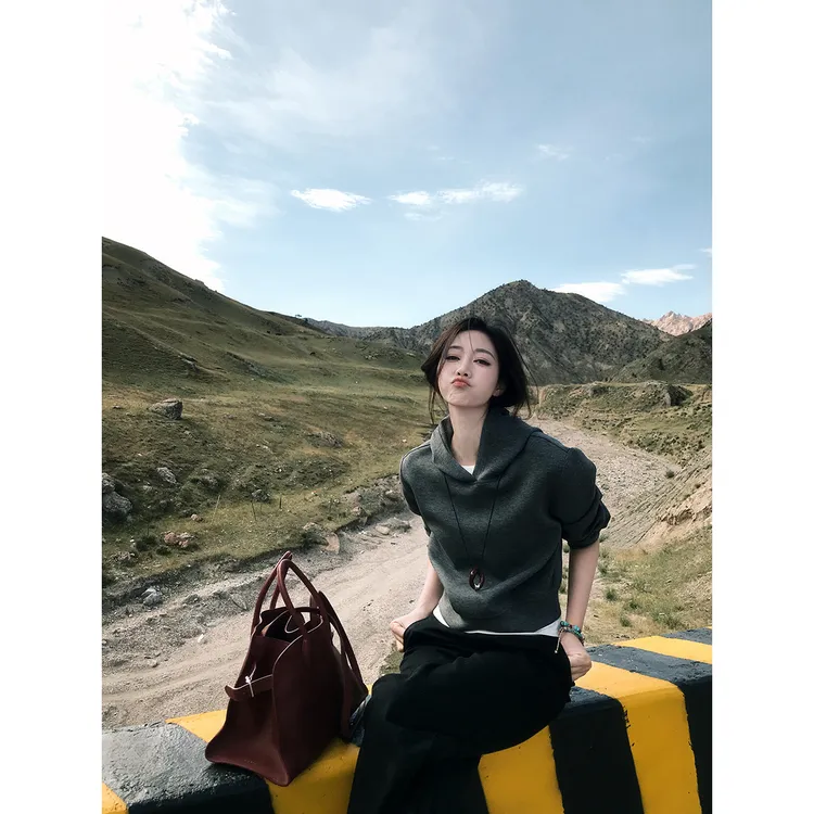 小番茄定制 FORNI 人生hoodie 莫代尔重磅连帽卫衣短外套