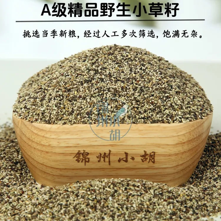 野生内蒙草籽 小颗粒 天然草籽 玉鸟丝雀 鹦鹉包邮真空包装