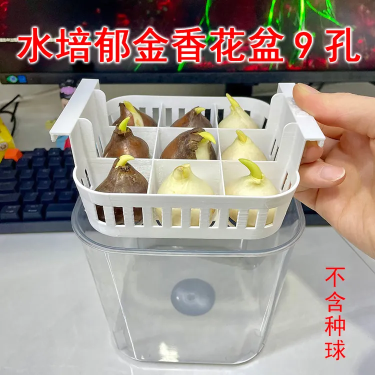 水培郁金香花盆9孔沥水篮白色塑料种植架塑料器皿玻璃花盆透明瓶
