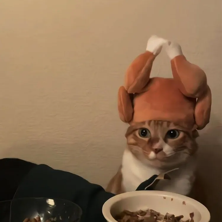 宠物猫麦克风套鸡腿帽子中小型犬比熊泰迪可爱搞怪拍照道具头饰用