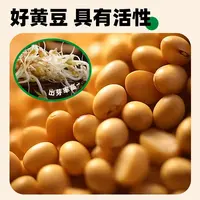 精选东北新黄豆打豆浆发豆芽做豆腐颗粒饱满