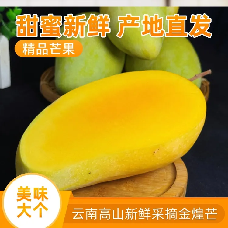 云南金煌芒新鲜应季水果大果香甜多汁包邮带箱5斤10斤