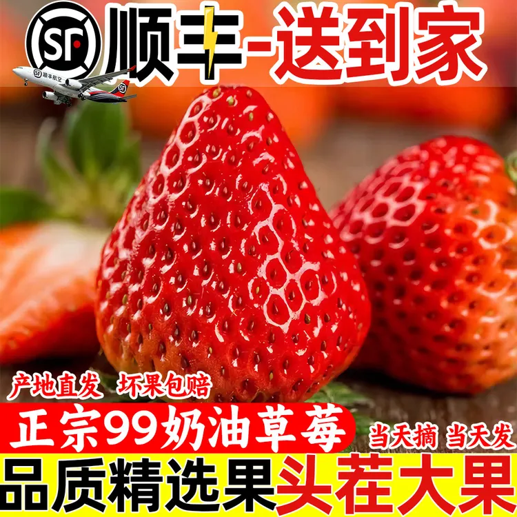 【顺丰/京东】大凉山草莓99新鲜现摘应季水果包邮孕妇可食非丹东