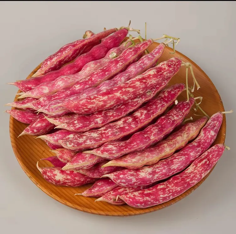 东北特产红金钩豆角4.5斤（新鲜现摘皮薄豆粒饱满）