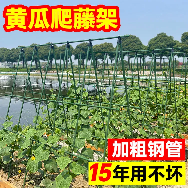 黄瓜豆角爬藤架庭院丝瓜架菜架子种菜瓜果支撑花架户外种植番茄架