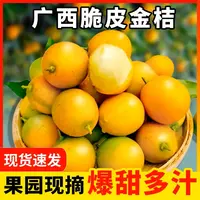 广西融安脆皮金桔新鲜水果应当季现摘蜜金柑橘子产地直发坏果包赔