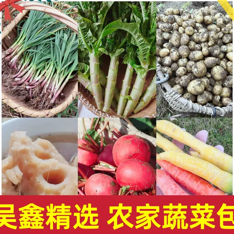 农家蔬菜包 蒜苗 茼蒿土豆 莴笋 胡萝卜 菠菜 粉藕 湖北应季蔬菜