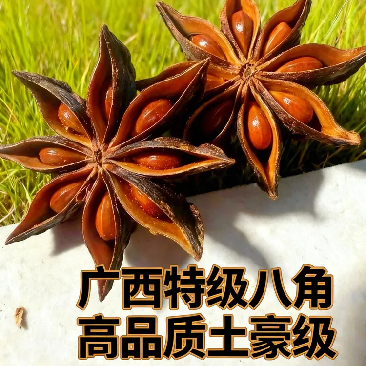 广西特级大红八角无硫足干提香去腥家庭常用组合调味大料香料