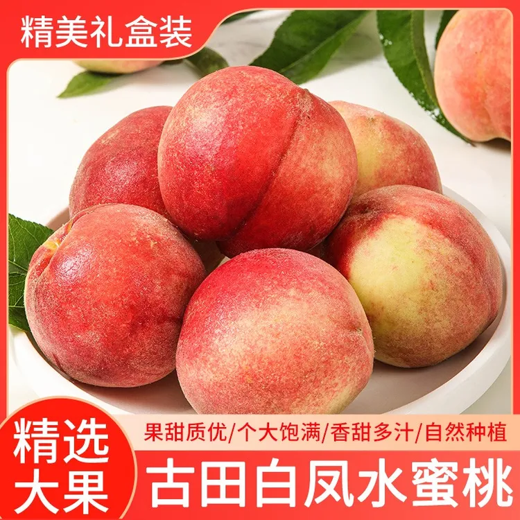 （特大果）新鲜现摘古田高山果园水蜜桃脆软两吃鲜甜多汁应季水果