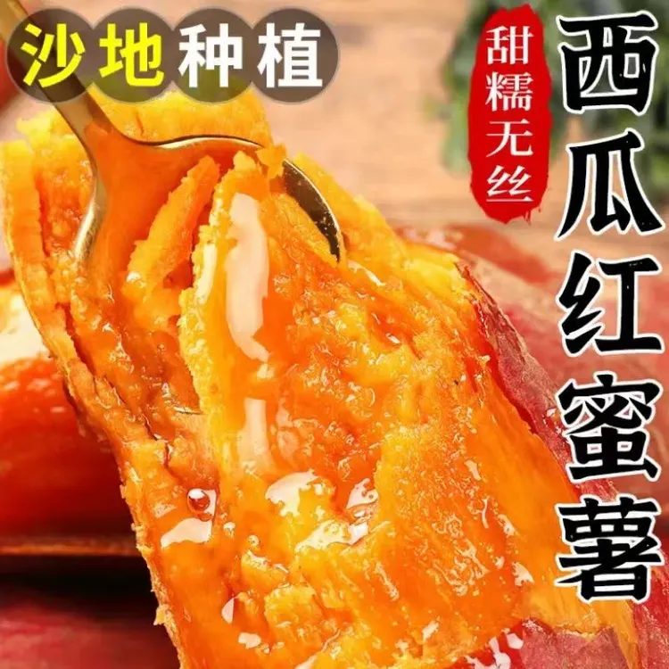 高山新鲜现挖中果红蜜薯红薯沙地地瓜香甜番薯糖心薯