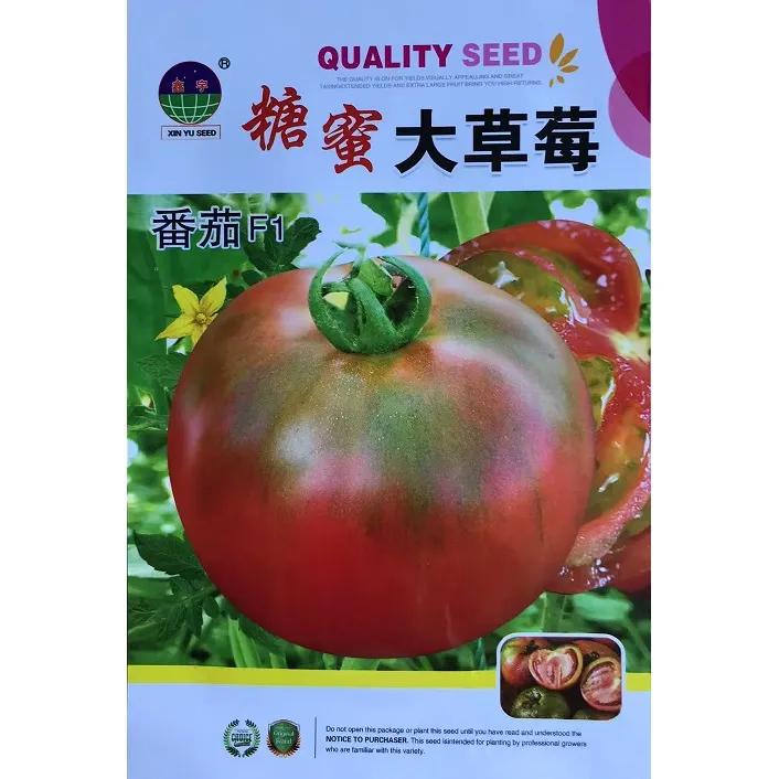 糖蜜大草莓番茄种子无限生长型绿披肩果肉厚酸甜适口水果番茄