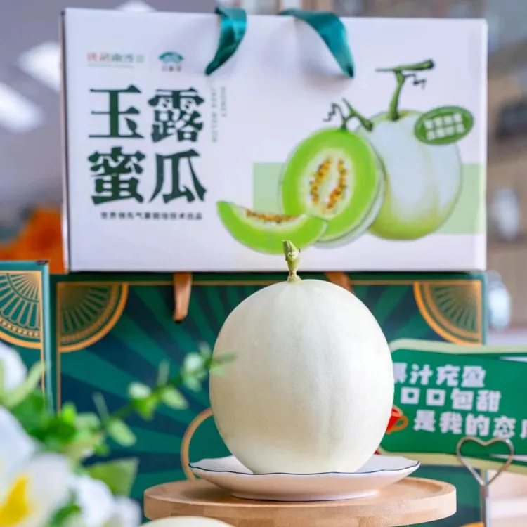 「玉露密瓜」甜愈小食光气雾栽培无农残双口感给追求生活质量