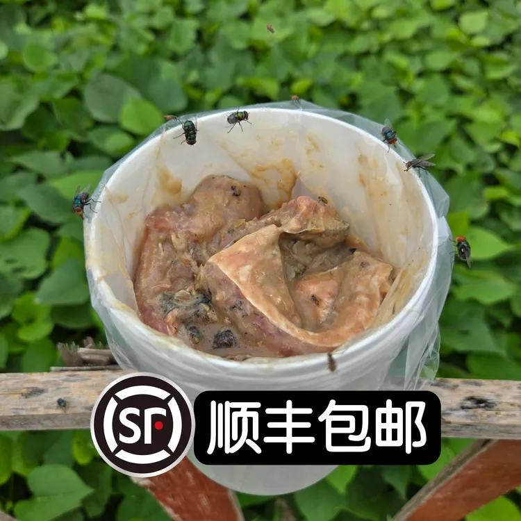 【臭鱼片】钓鲶鱼特效饵臭鱼鲶鱼黄颡鱼塘鲺江河湖库野钓野顺丰包邮