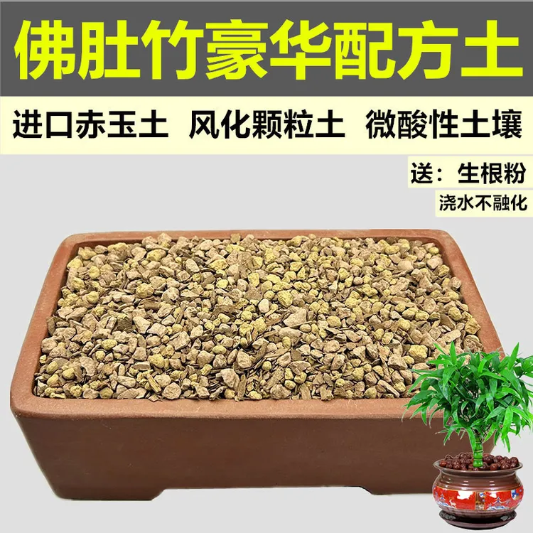 佛肚竹专用土盆栽盆景赤玉土风化土营养颗粒土酸性红沙土种植土