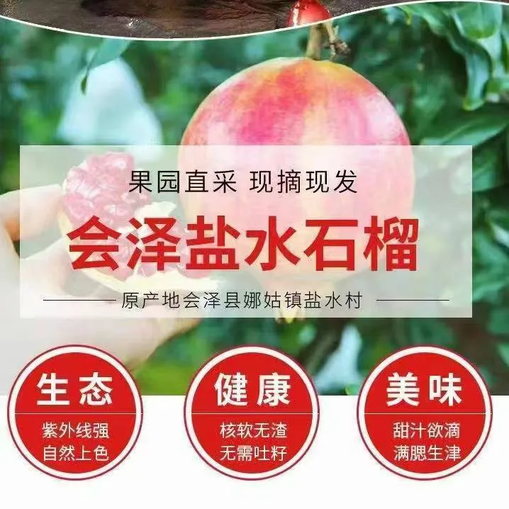 云南会泽盐水软籽石榴新鲜当季水果爆甜多汁整箱现摘现发超甜