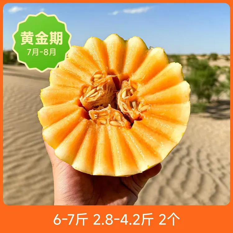 辰颐物语甘肃民勤蜜瓜6-9斤2-3个装新鲜水果观赛搭子甜瓜哈密瓜