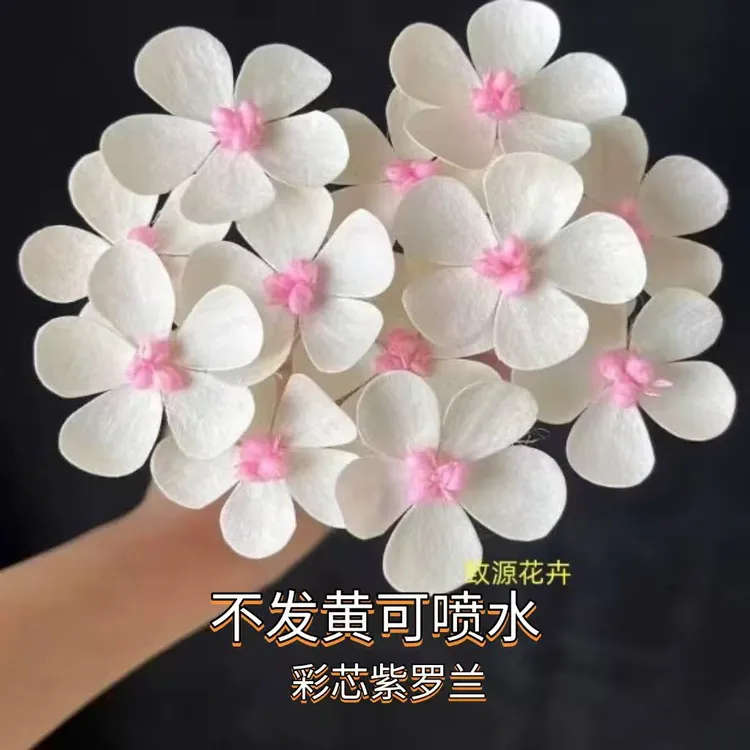 天然风彩芯五叶永生花小白花五叶花紫罗兰花店批发永久干菊花仿真商品图