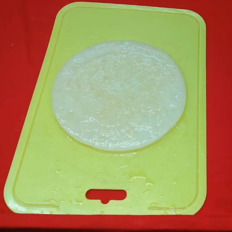 体验款1片装海宝醋娥子红茶菌