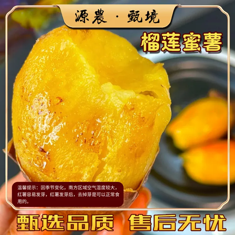 【源农甄境】正宗云南榴莲蜜薯高原丝滑黄金番薯软糯香甜新鲜粗粮