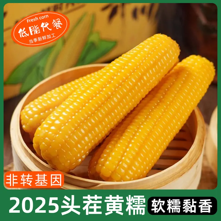 25年头茬黄糯玉米10根270-320克试吃2根软糯粘香非转基因软糯黏香