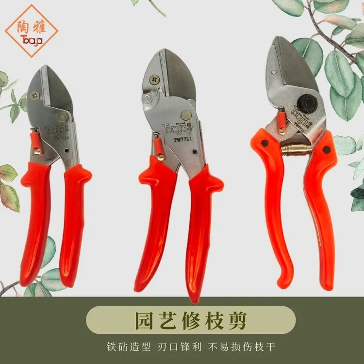 陶雅TW修枝剪园林铁砧剪强力果园葡萄阳光玫瑰藤蔓剪冬剪不累手