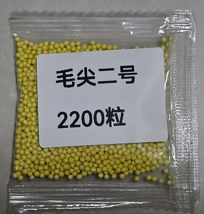 毛尖二号丸粒化颗粒肥产量高抗病强适合土培多种环境抗青枯
