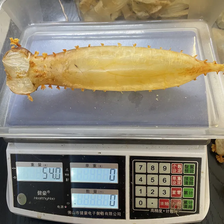 本港赤嘴公筒原筒鳘鱼胶花胶干货五大名胶孕妇月子滋补收藏送礼