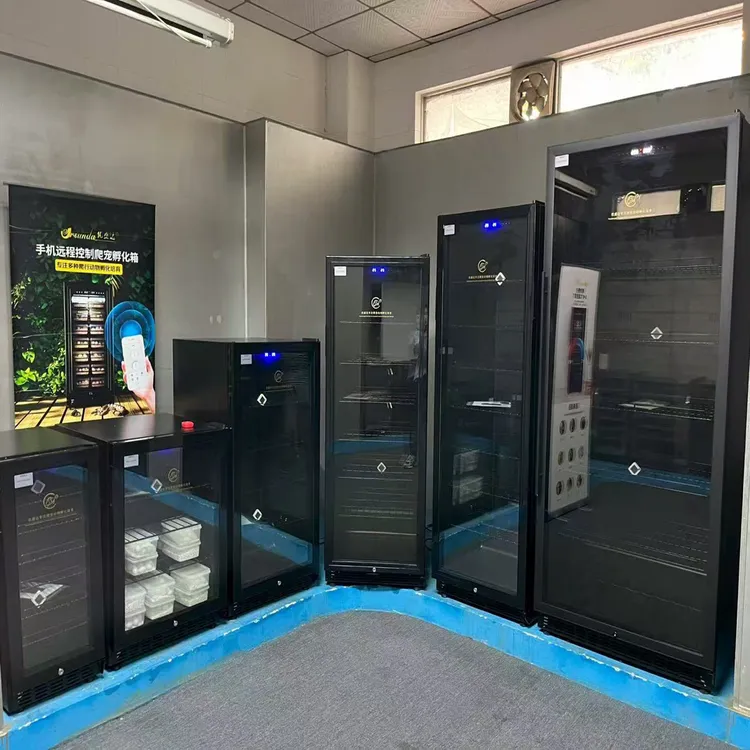 爬宠孵化箱乌龟鬃狮守宫蛇恒温箱温控箱甲虫蚂蚁恒温冬眠柜