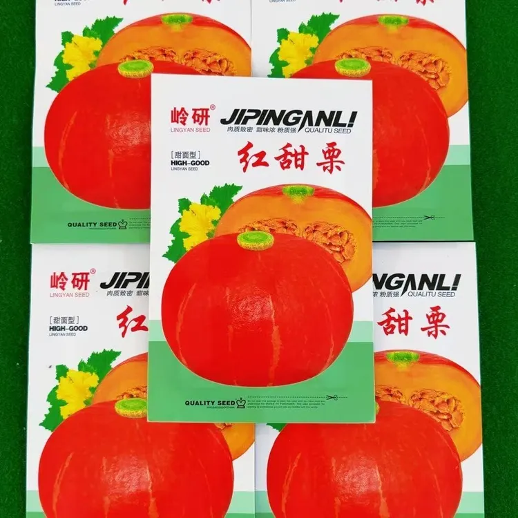 【红甜栗南瓜种子】耐低温春夏秋均可栽培越冬越寒