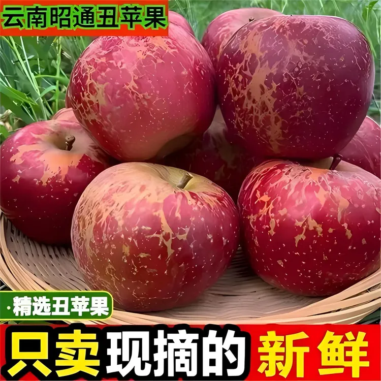 正宗云南昭通冰糖心丑苹果皮薄脆甜多汁现摘当季新鲜水果整箱批发