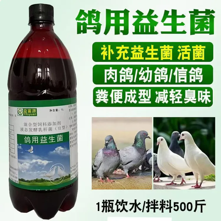 鸽用益生菌凯鸽肉鸽幼鸽亮羽毛鸽子专用营养液微生物补充有益菌