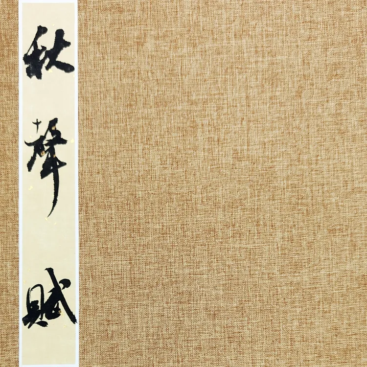 精彩册页，尺寸：23cmx32cmx12页 纸：仿古册页(高档) 内容：秋声赋