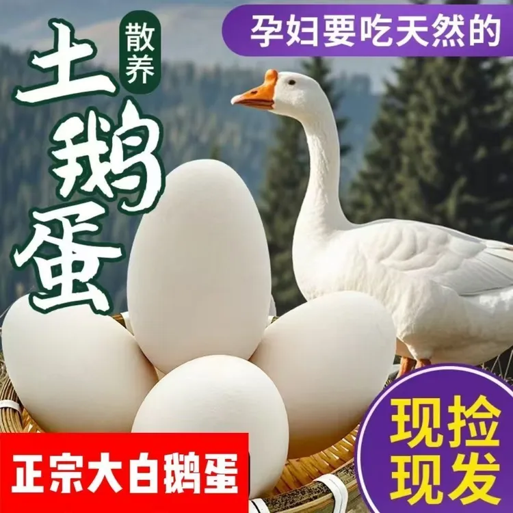 【到手20枚】农家小院新鲜现捡现发散养土鹅蛋