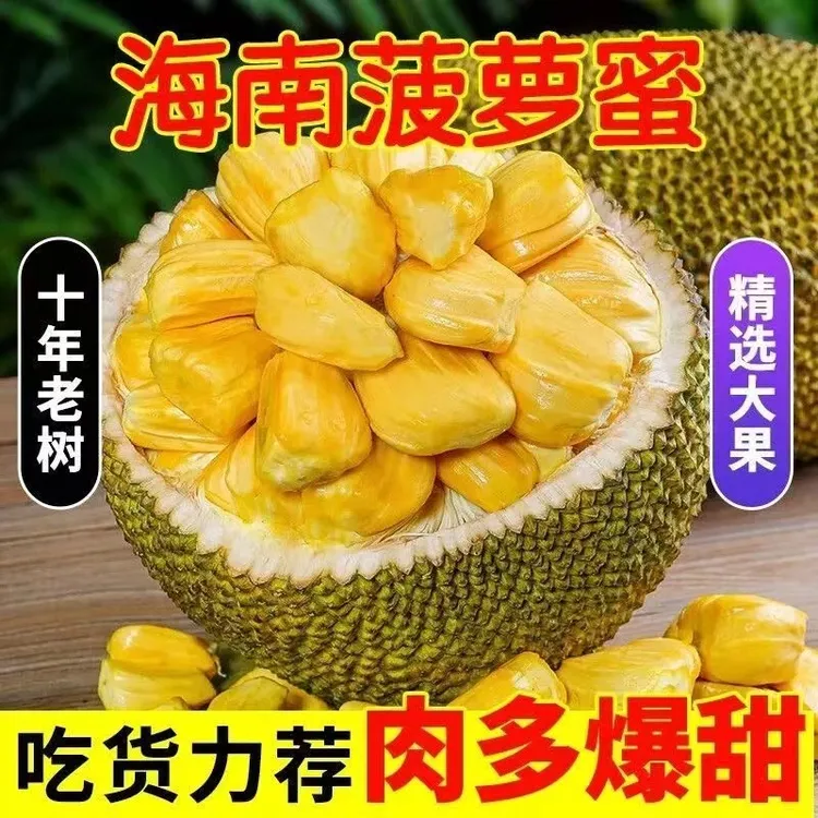 【小明正能量】海南老树干苞菠萝蜜香甜新鲜热带水果