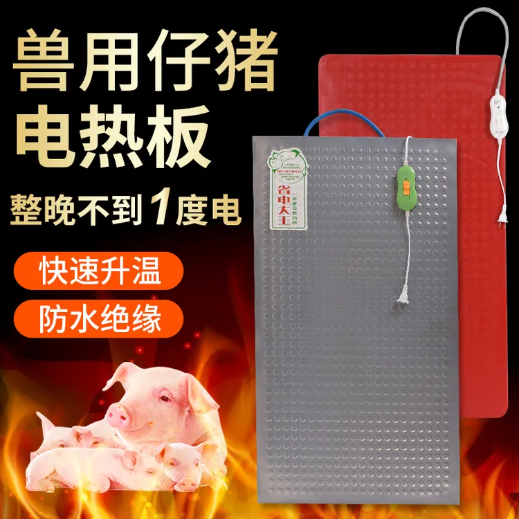 电热板兽用不锈钢电热板猪用宠物发热板养殖场母猪产床塑钢取暖板