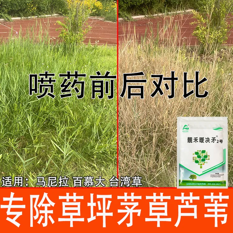 草坪除草剂专除芦苇茅草马唐稗草毛草百慕大马尼拉台湾草除草剂药