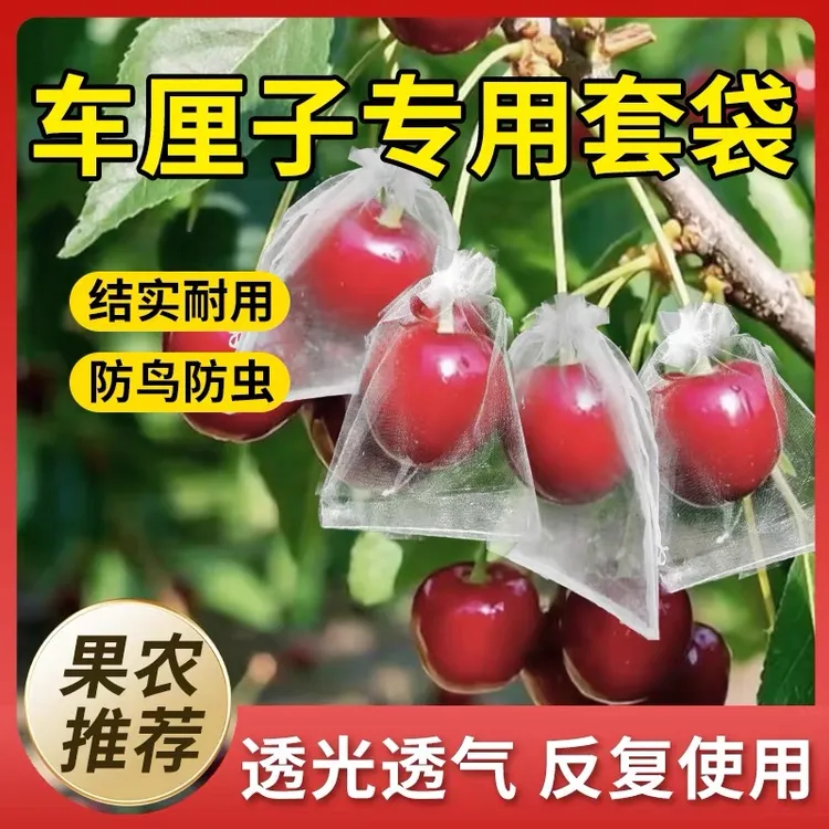 草莓套袋水果网套袋防虫鸟专用保护袋草莓网罩无花果葡萄番茄专用