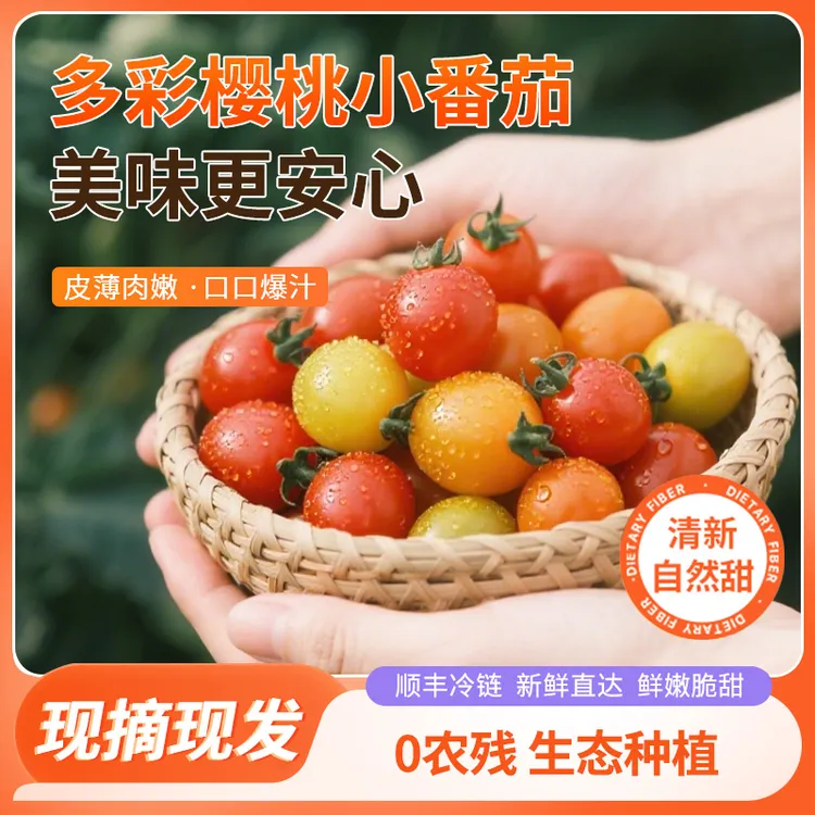 丝绒樱桃小番茄爆汁小番茄酸甜均衡多汁香甜多色自然熟水果番茄